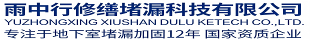 荆州雨中行科技防水堵漏工程有限公司