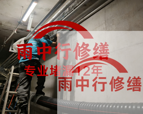 荆州电缆线空洞堵漏加固案例